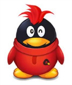 紅毛小q 紅毛小q