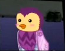 暖羊羊的寵物暖暖