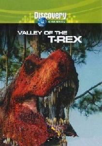 暴龍的真相 暴龍的真相