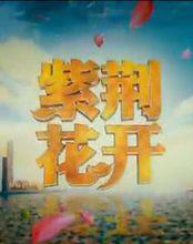 紫荊花開[慶祝香港回歸20周年五集大型紀錄片]