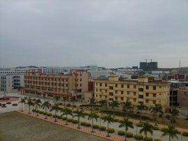 新店鎮[福建省廈門市翔安區新店鎮]