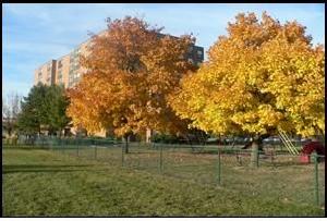 北方浸會神學院 北方浸會神學院