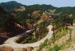 回頭曲線實際圖片