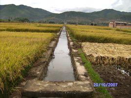 後營村[雲南大理劍川金華鎮下轄村]