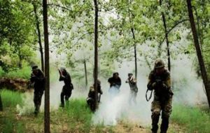 閃電野戰營 閃電野戰營