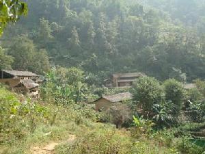 木項自然村 木項自然村