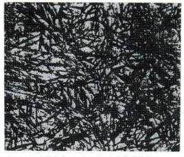 馬氏體組織 馬氏體組織