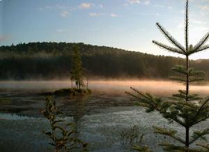 （圖）阿爾岡金省立公園