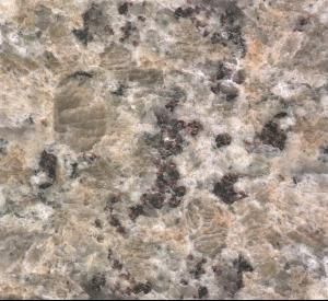 黃蝴蝶[花崗岩品種]