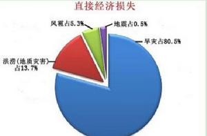災情統計 災情統計