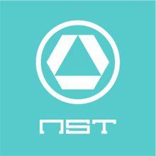 Nst[人格心理學]