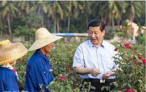 2013年4月8日至10日，中共中央總書記、國家主席、中央軍委主席習近平在海南考察工作。 9日下午，習近平在亞龍灣蘭德玫瑰風情產業園向花農了解玫瑰種植管理技術。