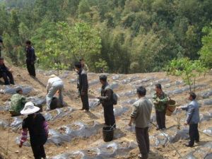 放馬場村 放馬場村