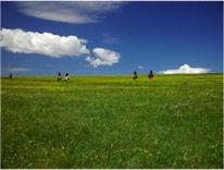 保定甸子梁 保定甸子梁