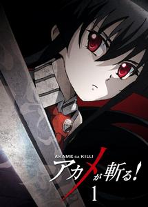 斬·赤紅之瞳！[WHITE FOX製作的電視動畫]