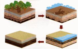 非再生能源 非再生能源