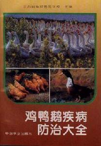 雞鴨鵝疾病防治大全 雞鴨鵝疾病防治大全