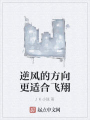 逆風的方向更適合飛翔 逆風的方向更適合飛翔