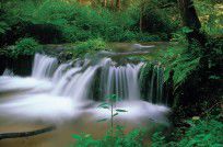 波蘭羅茲托切國家公園 波蘭羅茲托切國家公園