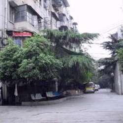 市稅務局宿舍 市稅務局宿舍