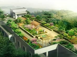 中心花園 中心花園