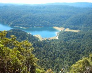 旺加努伊國家公園 旺加努伊國家公園