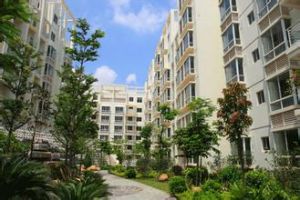 蘋果園東 蘋果園東