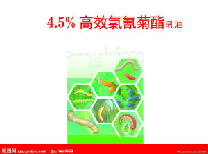 氯氰菊酯是一種殺蟲劑
