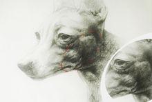 頭部素描教學圖