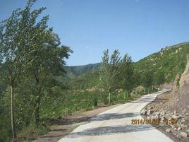 黑岔村[山西省太原市清徐縣東於鎮黑岔村]