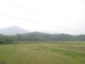 老鼠山遺址 老鼠山遺址