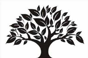 布爾圖片 布爾圖片