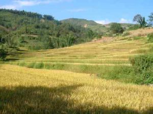 瓦窯寨自然村 瓦窯寨自然村