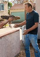 麥克法蘭[美國2015年妮基&middot;卡羅執導電影]