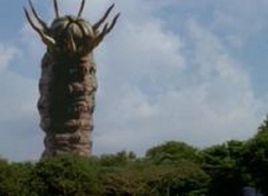 阿奈摩斯 阿奈摩斯