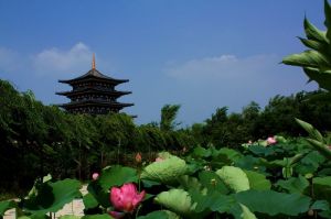 湖北漢口萬壽宮 湖北漢口萬壽宮