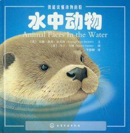 我能讀懂動物的臉 我能讀懂動物的臉