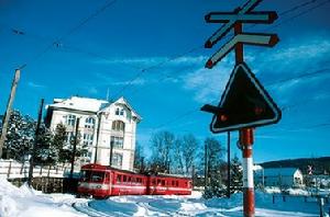 瑞士自然歷史博物館