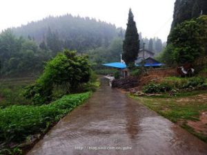 新橋邊村 新橋邊村