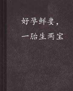 好孕鮮妻，一胎生兩寶