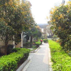 西百花巷 西百花巷