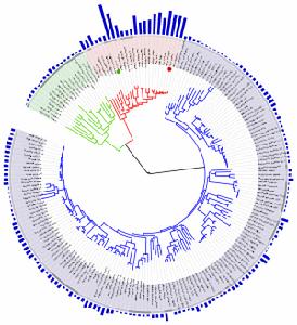 （圖）信息可視化