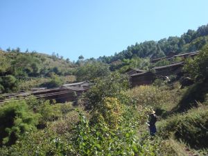 夏朗自然村 夏朗自然村
