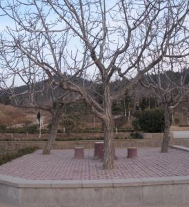 環秀公園 環秀公園