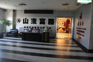 山東富勝投資有限公司 山東富勝投資有限公司