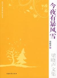 《今夜有暴風雪》