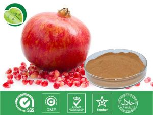 安石榴甙 安石榴甙