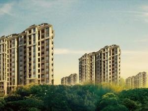 融僑世家 融僑世家