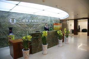 三峽財務有限責任公司 三峽財務有限責任公司