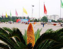 福州五一廣場風景